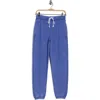 Free People Playbook Joggers In Blue