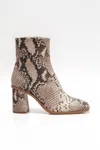 Free People Sienna Ankle Boot In Snakeskin In Multi
