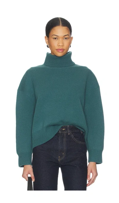 FREE PEOPLE SIGMA TURTLENECK