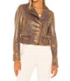 Free People Snakeskin Fenix Faux Suede Leather Moto Jacket In Multicolor In Brown