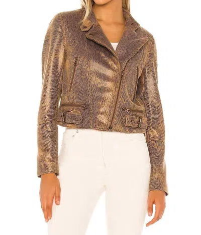 Free People Snakeskin Fenix Faux Suede Leather Moto Jacket In Multicolor In Brown