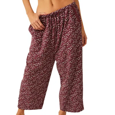 Free People Sugar Dreams Sleep Pants In Wine Combo In Multi