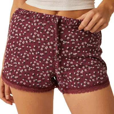 Free People Sugar Dreams Sleep Short In Wine Combo In Multi