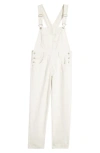 FREE PEOPLE WE THE FREE ZIGGY DENIM OVERALLS