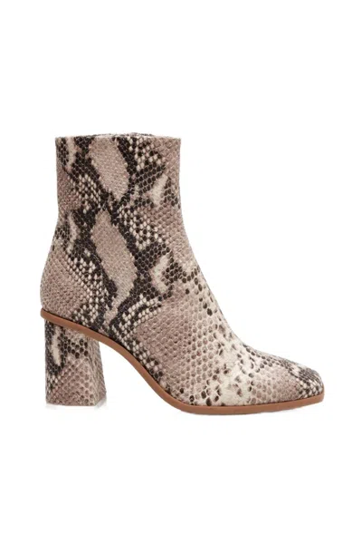 Free People Women's Sienna Ankle Boot In Snakeskin In Multi