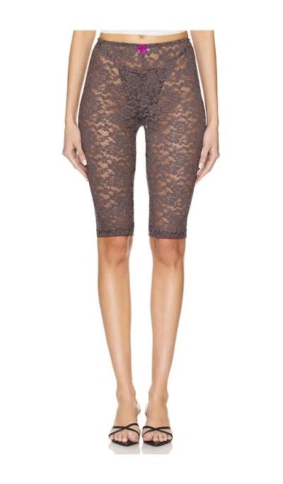 Free People X Intimately Fp All Day Lace Capri In Chocolate