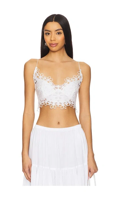 Free People X Intimately Fp Asteria Bralette In Optic White
