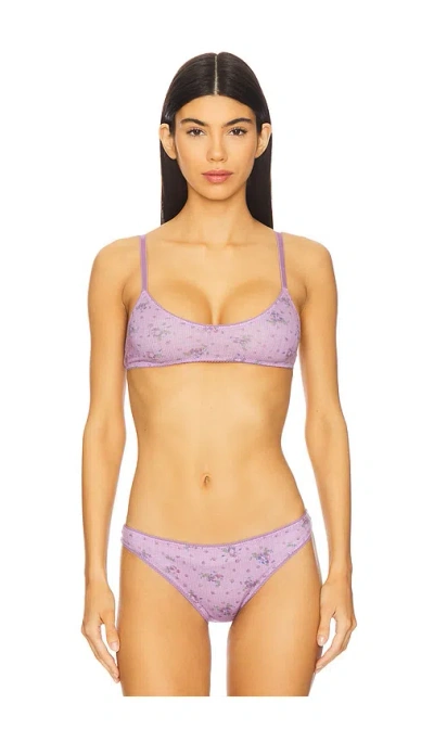Free People X Intimately Fp Printed Pointelle Bralette In Grape Combo