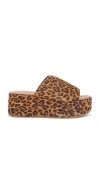 Free People X Revolve Harbor Flatform Sandal In Leopard