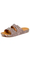 Freedom Moses Zazu Slides Sol In Sol