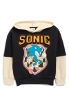 Freeze Kids' Sonic The Hedgehog® Chenille Graphic Hoodie In Multi