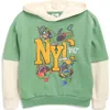 Freeze Kids' Tmnt Chenille Graphic Hoodie In Green