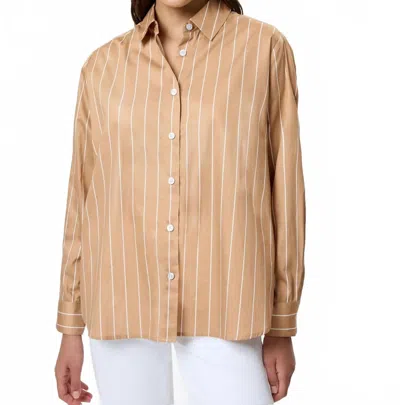 French Connection Alexis Poplin Fine Line Shirt In Macchiato In Brown