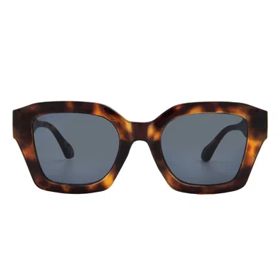 French Connection Fc 23 53 Cp Oat Brown Sport Ladies Sunglasses 10266437.com Whtbrn In Gray