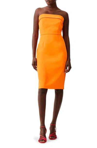French Connection Harry Suiting Strapless Dress In Persimmon