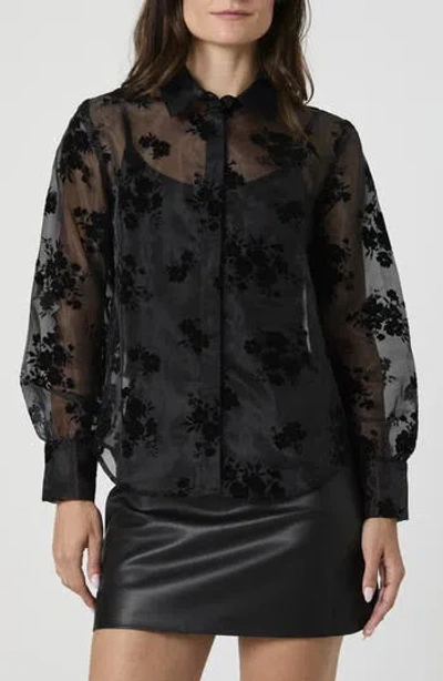 French Connection Velvet Burnout Organza Sheer Shirt In Black