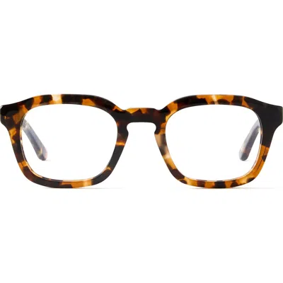 French Kiwis Eyewear Oscar Reading Glasses In Brown