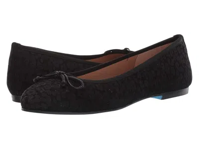 French Sole Nicky Hilton- Paris In Multi