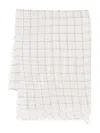 Frenckenberger Cashmere Scarf In Neutrals