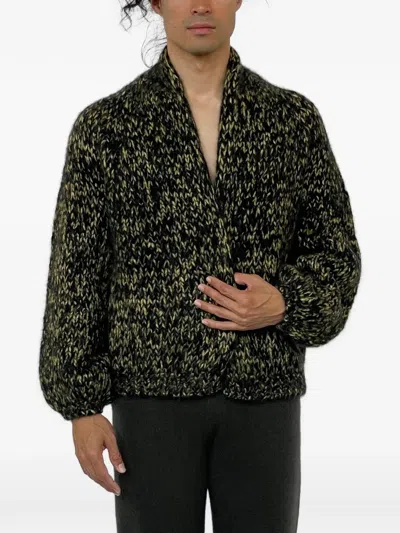 Frenckenberger Chunky-knit Shawl-lapel Cardigan In Multi