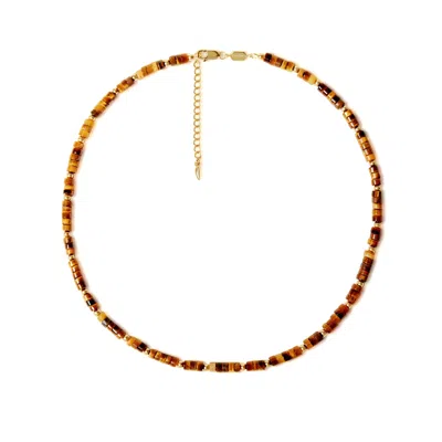 Freqnc Atelier Women's Gold Cassie Tiger's Eye Gemstone Necklace