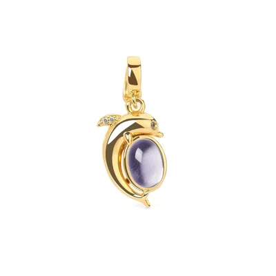 Freqnc Atelier Women's Purple Mini Dolphin Charm - Gold - Amethyst