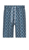 FRESCOBOL CARIOCA BOARD IPANEMA CAMADA PRINT SWIM SHORTS