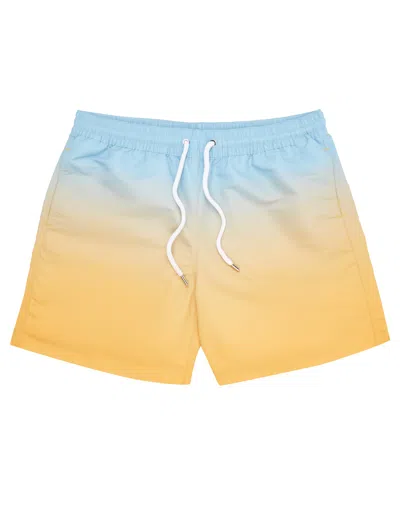 Frescobol Carioca Mens Board Shorts In Blue/yellow