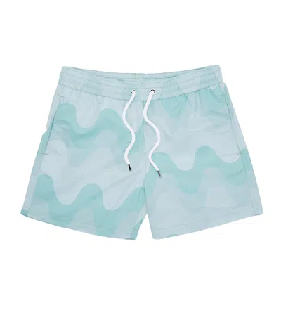 Frescobol Carioca Mens Designer Swim Shorts In Mint Green In Blue