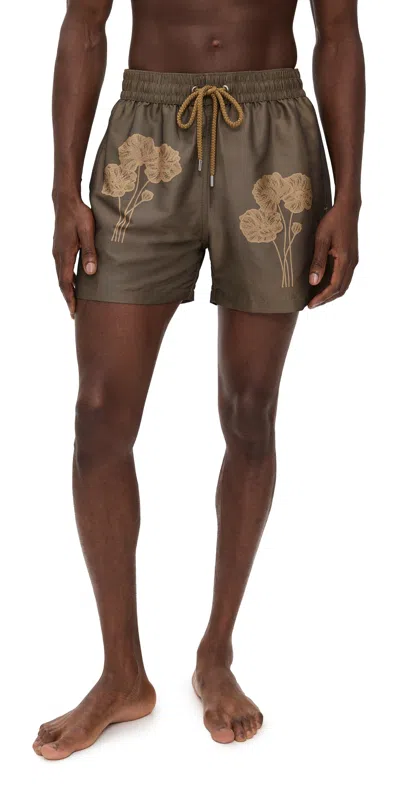 Frescobol Carioca Rio Linear Floral Jacquard Print Swim Shorts 4.25 Light Brown