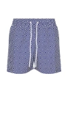 Frescobol Carioca Rio Printed Drawstring 4.5 Swim Shorts In Angra Print