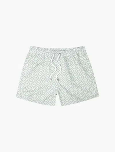 Frescobol Carioca Sport Swim Shorts Angra Ombré Print In Green Haze