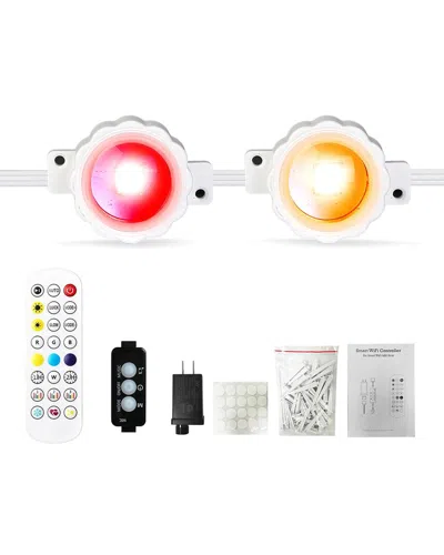 FRESH FAB FINDS FRESH FAB FINDS 101FT PERMANENT OUTDOOR LIGHTS