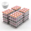 Fresh Fab Finds 12 Count Clear Cupcake Boxes With Liners High Dome Lid In White