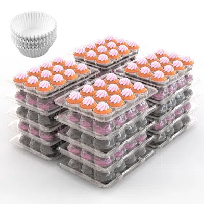 Fresh Fab Finds 12 Count Clear Cupcake Boxes With Liners High Dome Lid In White