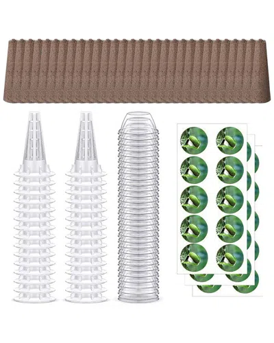 Fresh Fab Finds 120pc Seed Pod Kit In Multi