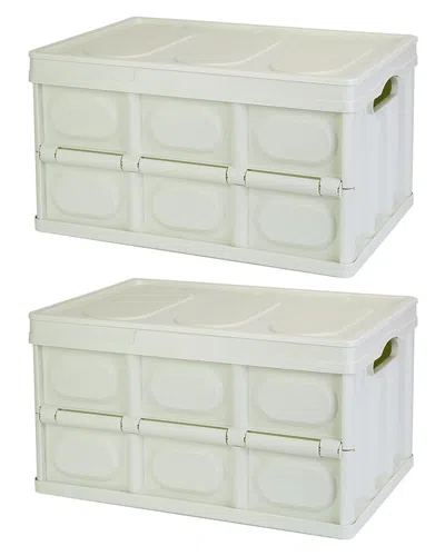 FRESH FAB FINDS FRESH FAB FINDS 2PC GREEN 30L COLLAPSIBLE STORAGE BINS