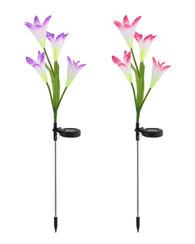 Fresh Fab Finds 2pc Solar Garden Lights Outdoor Lily Flower In Multi