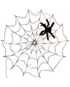 Fresh Fab Finds 3.28ft Spider Web Light