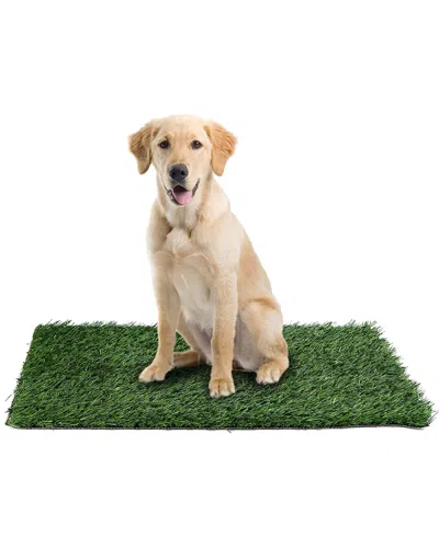 Fresh Fab Finds Replacement Grass Mat For Pet Potty Tray In Multi