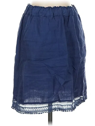 Pre-owned Fresh Produce Casual Skirt In Blue