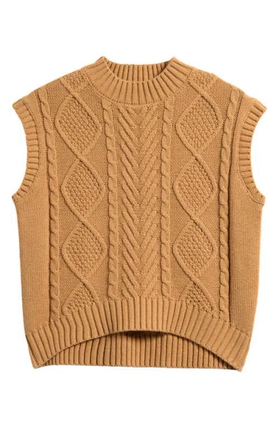 Freshman Kids' Cable Sweater Vest In Brown