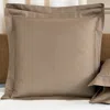 Frette Horizon Striped Euro Sham In Nut/dusty Azure