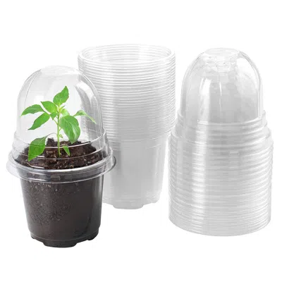 Frey Orchad 30pcs Plant Nursery Pots Pet Flower Seed Starting Pots Container With Dome With Drainage Holes In Transparent