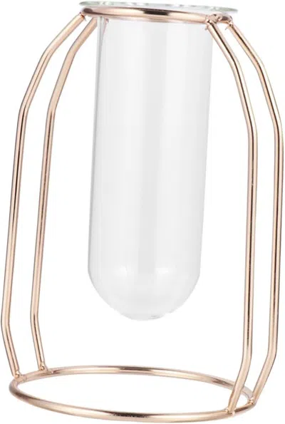 Frey Orchad Glass Tube Vase Hydroponics Planter With Metal Frame Creative Flower Planter For Home Office Decor F In Gold
