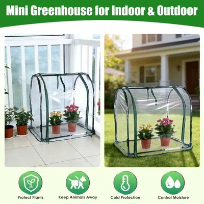 Frey Orchad Indoor Outdoor Mini Greenhouse, Pest & Weather Protection Small Greenhouse For Herbs Succulents Dwar