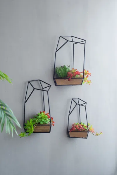Frey Orchad Set Of 3 Felix Wall Planter, L:10x10x16.5" M:8.5x8.5x15.5" S:7x7x13.5" In Black