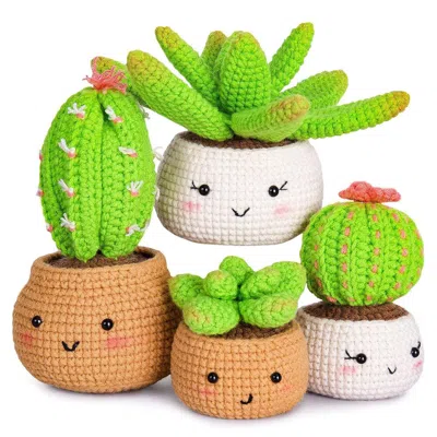 Frey Succulents Crochet Kit Crochet Kit For Beginners Diy Knitting Supplies For Kids Adults 4 Patterns, S In Multi