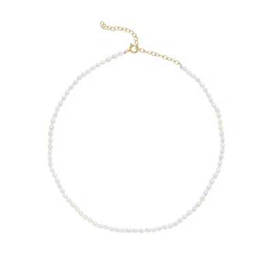 Freya Rose Women's Gold / White Rice Pearl Necklace
