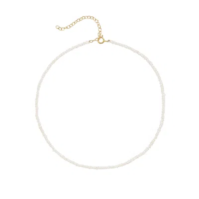 Freya Rose Women's White Seed Pearl Necklace